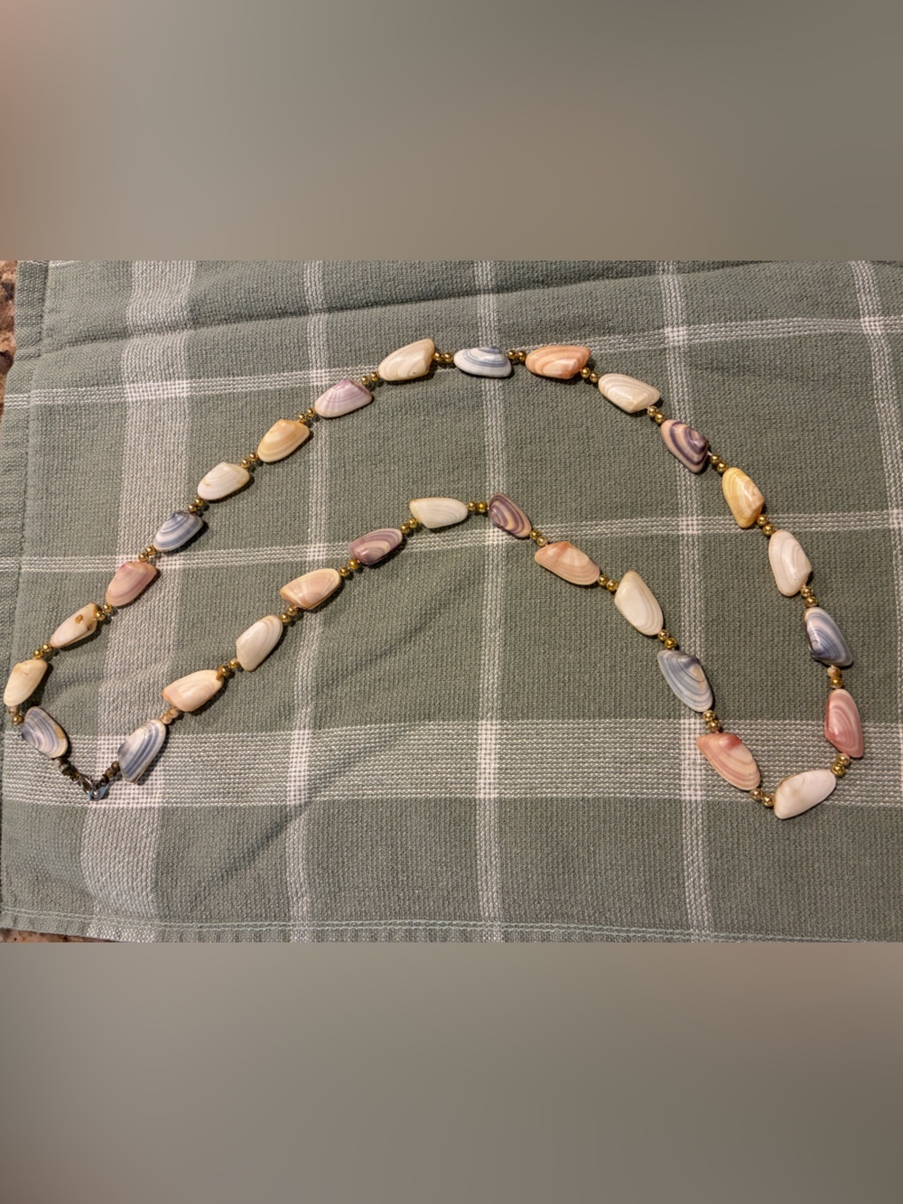 28” Multicolor coquina Shell Bead Necklace with Gold Accents